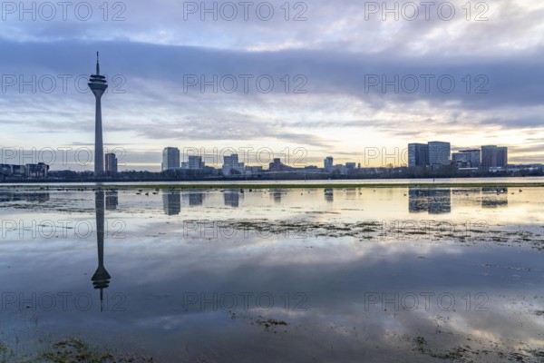 View over the Rhine near Düsseldorf, Media Harbour, from the Rhine meadows in