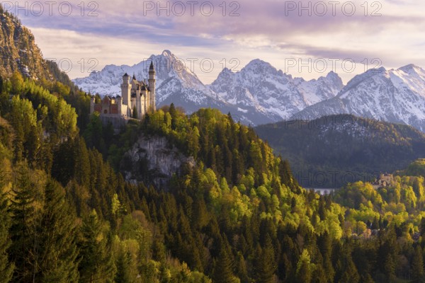 Neuschwanstein Castle near Füssen, Hohenschwangau Castle, evening mood, Schwangau, Allgäu Alps,
