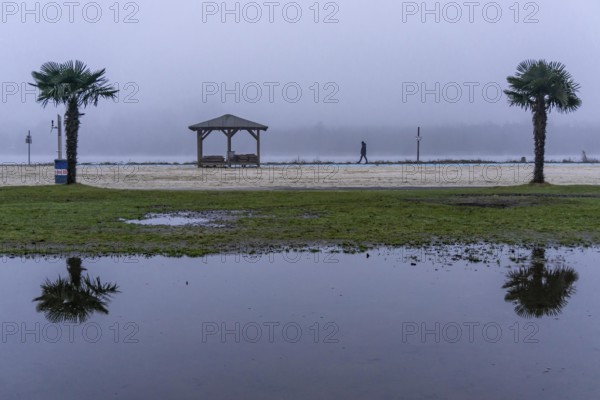 The Seaside Beach, at the Lake Baldeney in Essen, dull, very foggy January day, palm trees are
