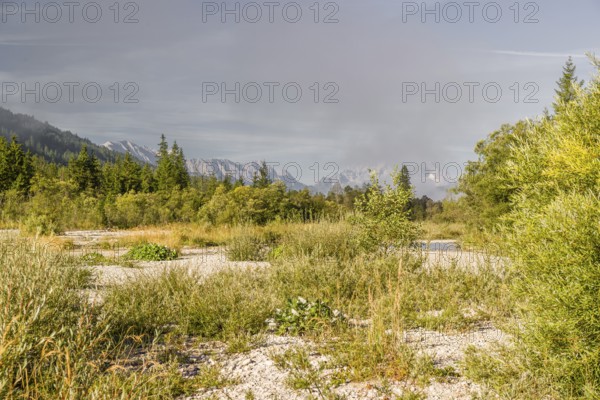 Isar valley nature conservancy area on an early sunny morning. The wild Isar river flows through