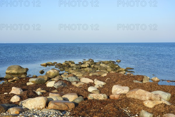 Stony beach on the island of Fehmarn on a calm, sunny day, Baltic Sea coast near Wallnau, East
