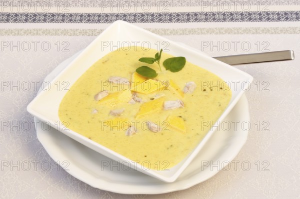 Swabian cuisine, brain soup with egg garnish, offal, calf's brain, regional, soup served in a bowl,