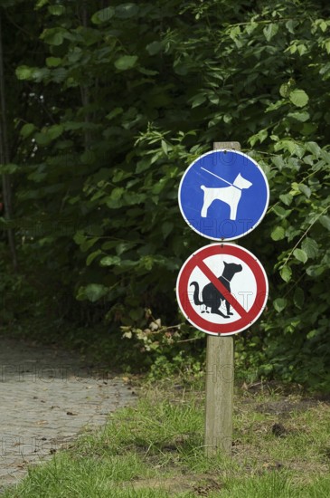 Signs 'Dog excrement prohibited' and 'Dogs on a lead' in a park, North Rhine-Westphalia, Germany,