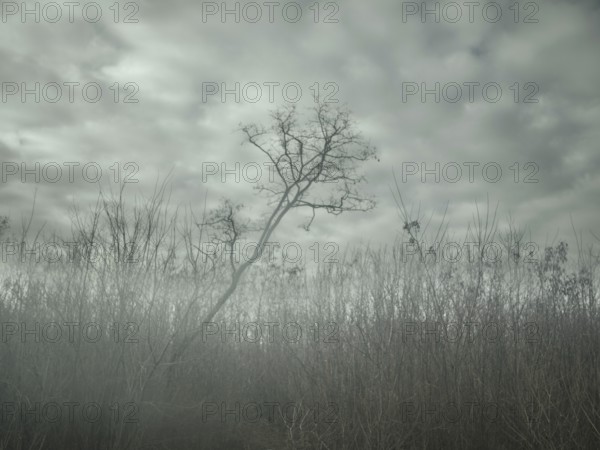 Landscape in Voloska Balakliia. The village is close to the front line, artillery fire can be heard