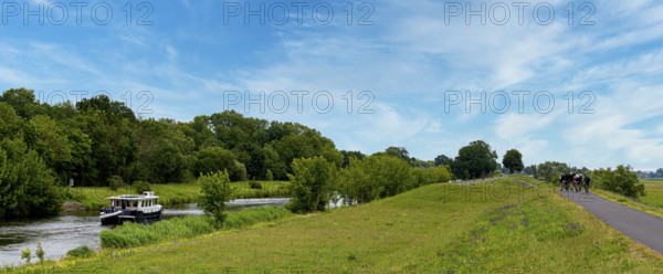 River in the Lower Oder Valley National Park, Criewen, Brandenburg, Germany, Europe