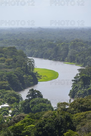 View of the river and rainforest from Cerro Tortuguero, Tortuguero National Park, Costa Rica,