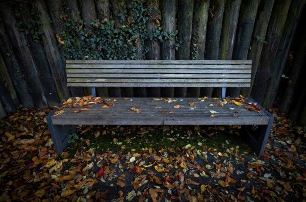 Park bench, bench, abandoned, autumn leaves, autumn colours, autumn, Kappelberg, Fellbach,