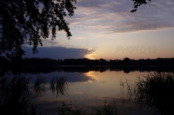 Upper Lusatian Heath and Pond Landscape, June, Saxony, Germany, Europe