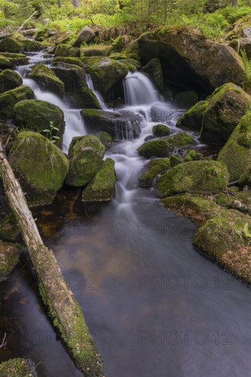Kleine Ohe creek below Waldhaeuser village in the Bavarian Forest Nationalpark. Flowing water,