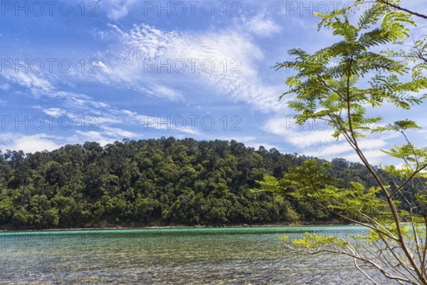 Green tropical island, covered with jungle in Malaysia