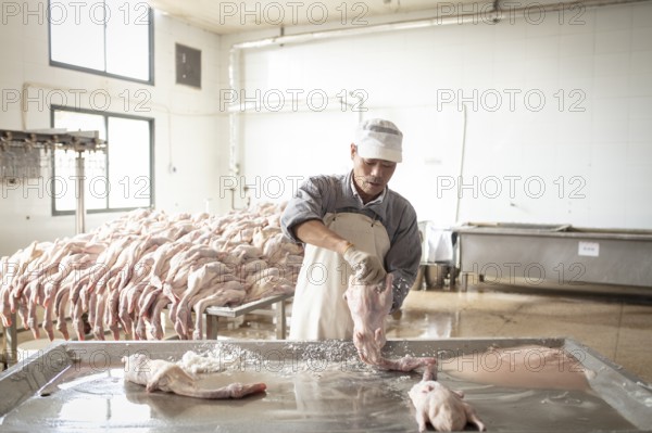 Production of salted ducks in the Nan Jing Ying Tao Yo Co. Ltd. factory, for consumption in