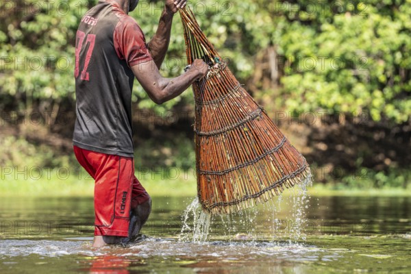Fisherman lifting the basket out of the water. Water trips down the basket. He uses the basket for