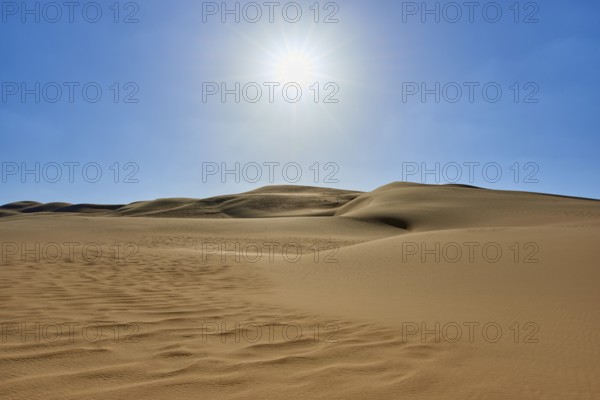 Sunny desert landscape with sand dunes under a clear blue sky, Matruh, Great Sand Sea, Libyan
