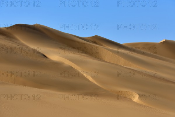 Sand dunes under a blue sky, conveying a calm and vast desert landscape, Matruh, Great Sand Sea,