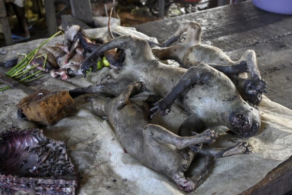 Bushmeat at a market, monkey meat, poaching, Ouésso, Sangha department, Republic of Congo