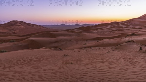Wind-sculpted sand dunes at sunrise in the Rub al Khali desert, Dhofar province, Arabian Peninsula,