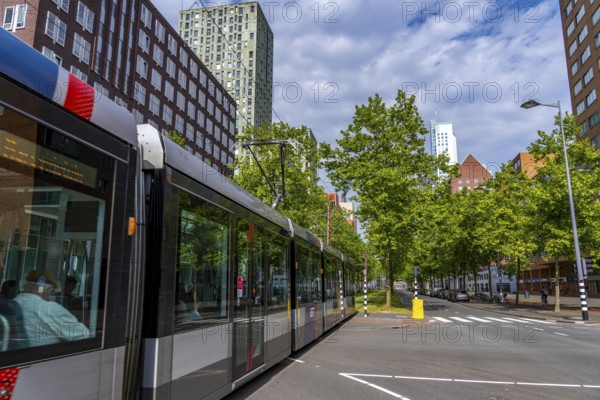 Urban greening, inner-city street Laan op Zuid, in Rotterdam's Feijenoord district, 4 lanes, 2 tram