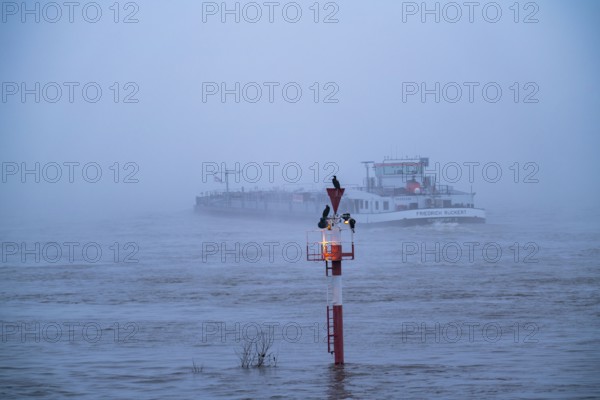 Dense fog, Rhine near Düsseldorf, cargo ship travelling south, very low visibility, navigation
