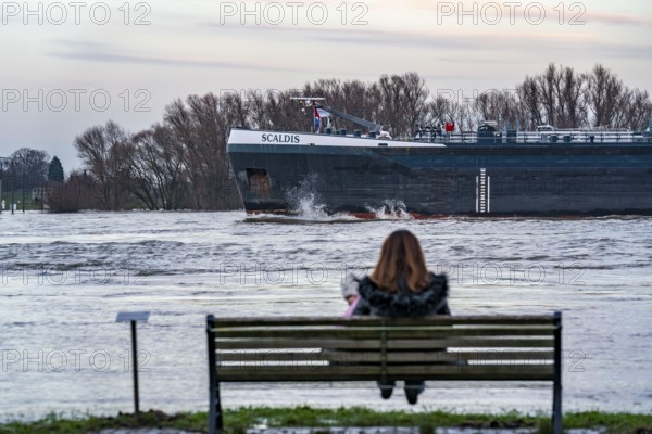 Flood on the Rhine, flooded banks of the Rhine, old ferry landing stage, Rhine meadows, near