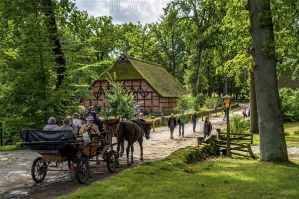 The village of Wilseder, old farms, in the Lüneburg Heath nature reserve, Lower Saxony, Germany,