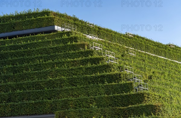 Largest green façade in Europe, on the Kö-Bogen II, building, shopping and office building on