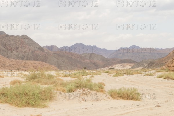 Desert, red mountains, rocks and cloudy sky. Egypt, the Sinai Peninsula, Dahab