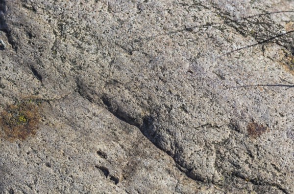 Texture of a boulder with moss and lichen