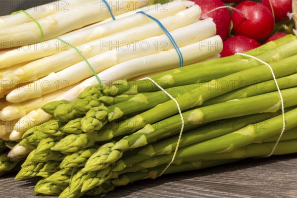 Green asparagus and white asparagus decorated on a rustic wooden table