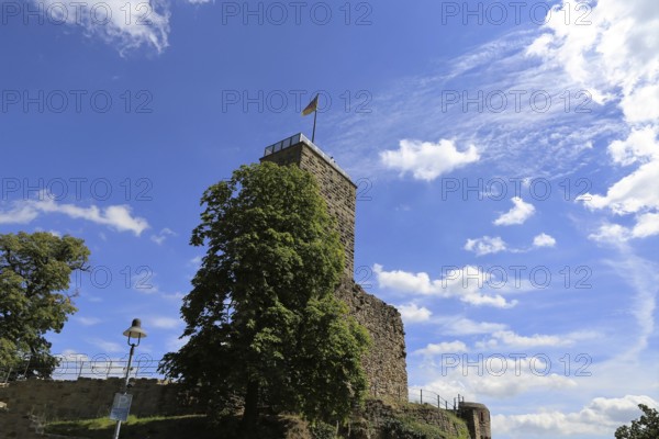 The Wachtenburg castle near Wachenheim close to Bad Dürkheim