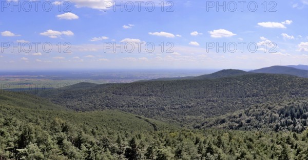 View from the Eckkopf tower near Bad Dürkheim over the Palatinate Forest