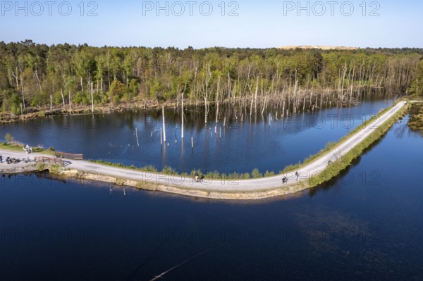 Whitsun lake in the Kirchheller Heide, near the HeidhofWhitsun lake in the Kirchheller Heide, near