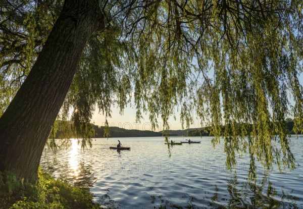Lake Baldeney, kayaks, summer evening on the eastern shore, Essen, North Rhine-Westphalia, Germany,