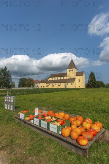 Oberzell, Reichenau Island, St. George's Parish Church, UNESCO World Heritage Site, pumpkin sale,