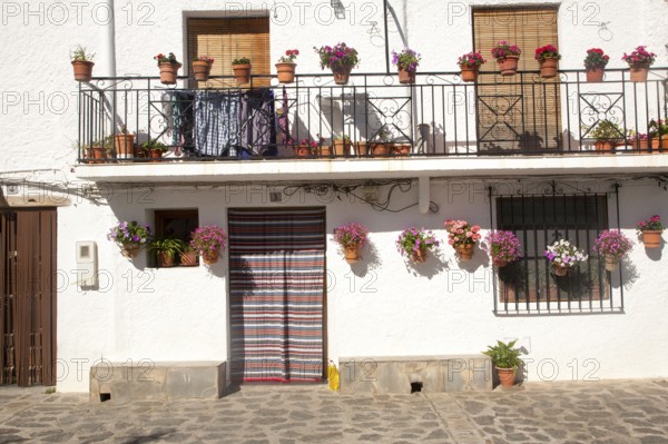 Houses in the village of Bubion, High Alpujarras, Sierra Nevada, Granada province, Spain, Europe