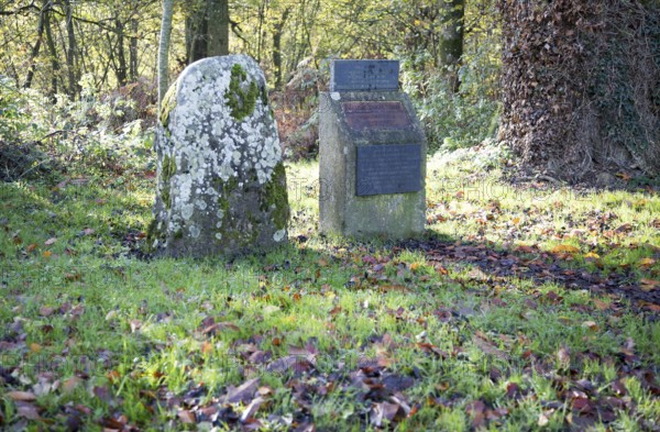 Swanborough Tump, Swinbeorg 850AD, Anglo Saxon meeting place, near Woodborough, Wiltshire, England,