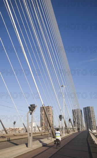 Erasmus Bridge, Erasmusbrug, spanning the River Maas designed by architect Ben van Berkel completed
