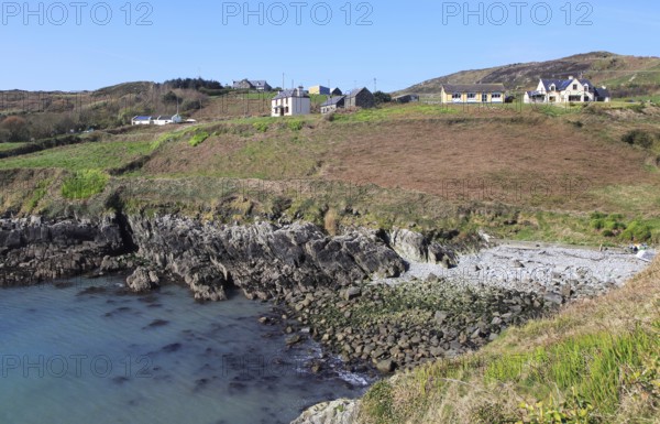 South Harbour bay and houses, Cape Clear Island, County Cork, Ireland, Irish Republic, Europe