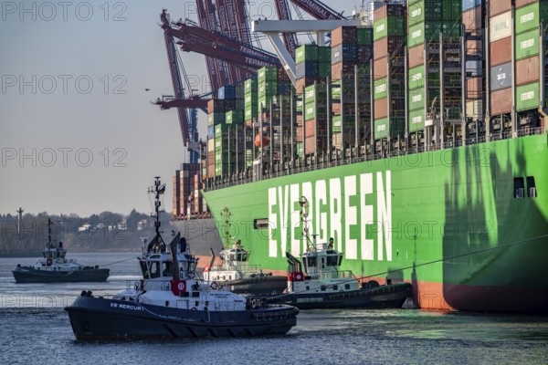 Container ship Ever Gifted, arriving at the port of Hamburg, Waltershofer Hafen, HHLA Container
