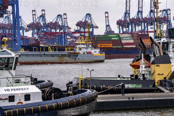 Port of Hamburg, HHLA Container Terminal Burchardkai, Athabaskakai, on the Elbe, container feeder
