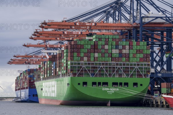 Euromax Container Terminal, container freighter Cosco Shipping Universe, behind and Ever Genius,