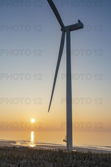 ENECO wind farm on the dike around the harbour Maasvlakte 2, 22 wind turbines with a capacity of