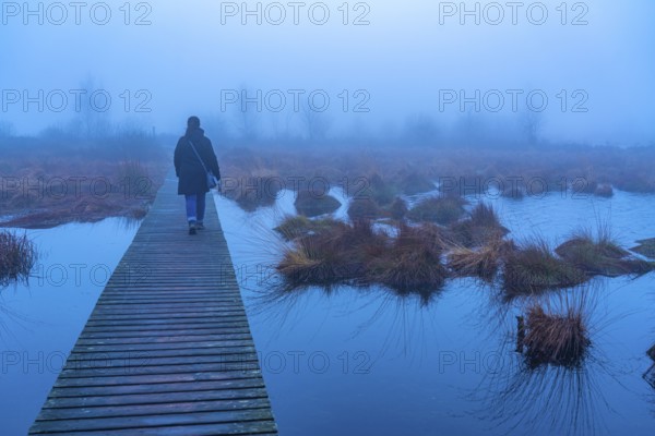 The High Fens nature park Park, in the German-Belgian border region near Eupen, winter, fog, wooden
