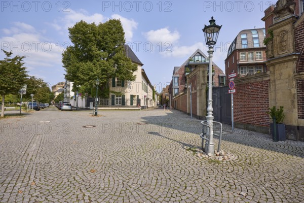 Ritterstraße and Reuterstraße with a summer lime tree (Tilia platyphyllos) and general buildings in