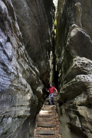 Trail with stairs leading through narrow gorge in the sandstone rock formation Perekop in Berdorf,