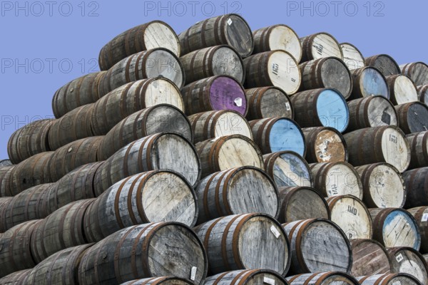 Huge stacks of discarded whisky casks, barrels at Speyside Cooperage, Craigellachie, Aberlour,