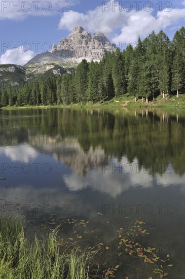 Reflections of pine trees and mountain peak in the lake Lago d'Antorno near Misurina in the