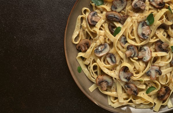 Fettuccine with champignons, basil, in cream sauce, homemade, no people