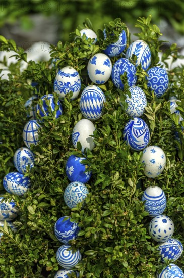 Hand-painted Easter eggs in Bavarian colours white and blue, Easter fountain, Ludwigsbrunnen,