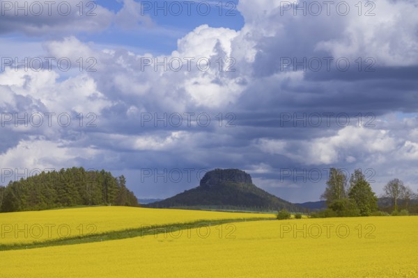 The Lilienstein is the most famous striking rock formation in Saxon Switzerland, Struppen, Saxony,