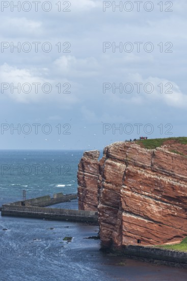 Red coloured sandstone, steep cliff coast of the offshore island of Heligoland, home of the